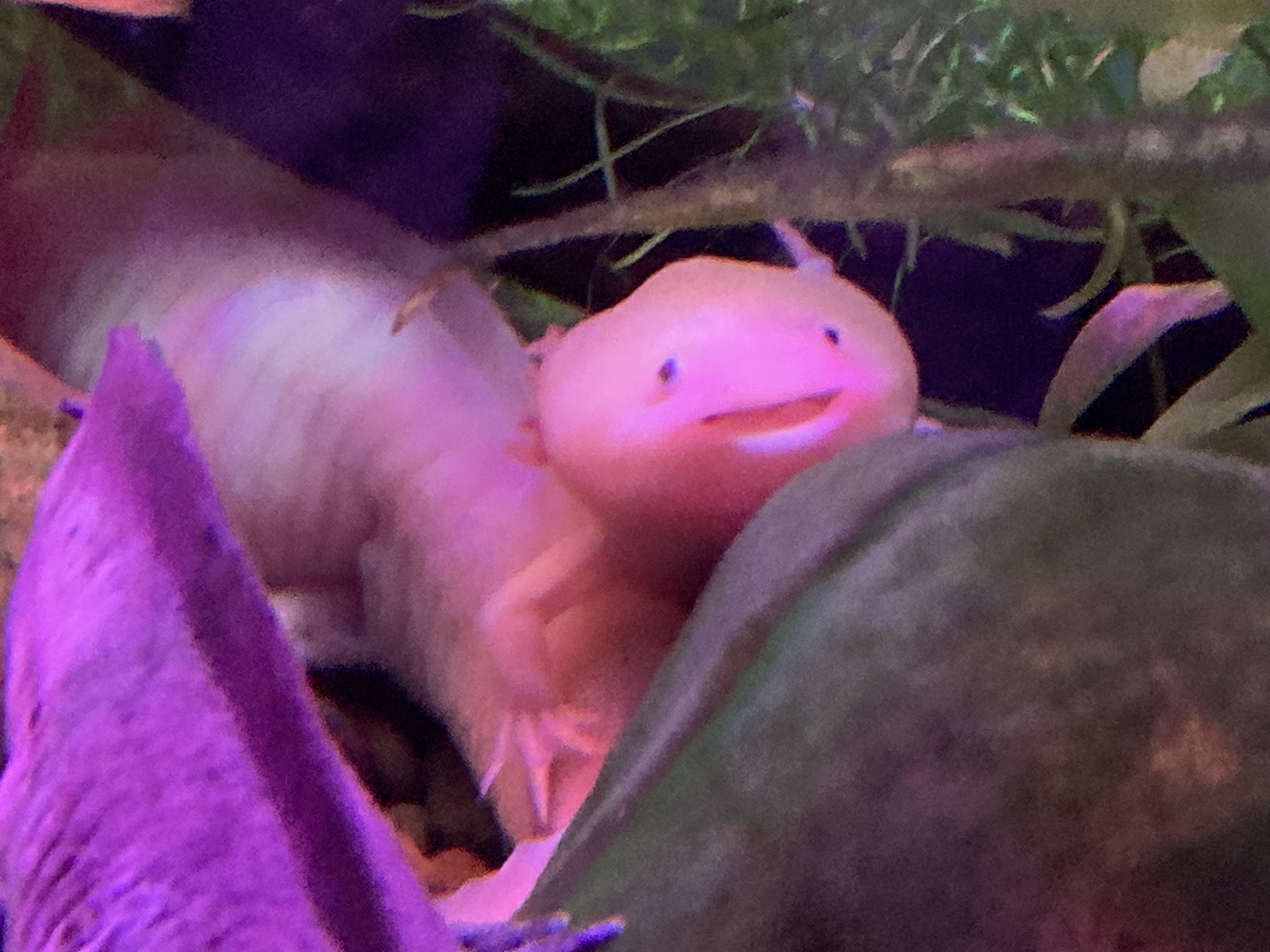 Exploring Oceanarium Lviv: A Family-Friendly Aquarium (Lviv, Ukraine)