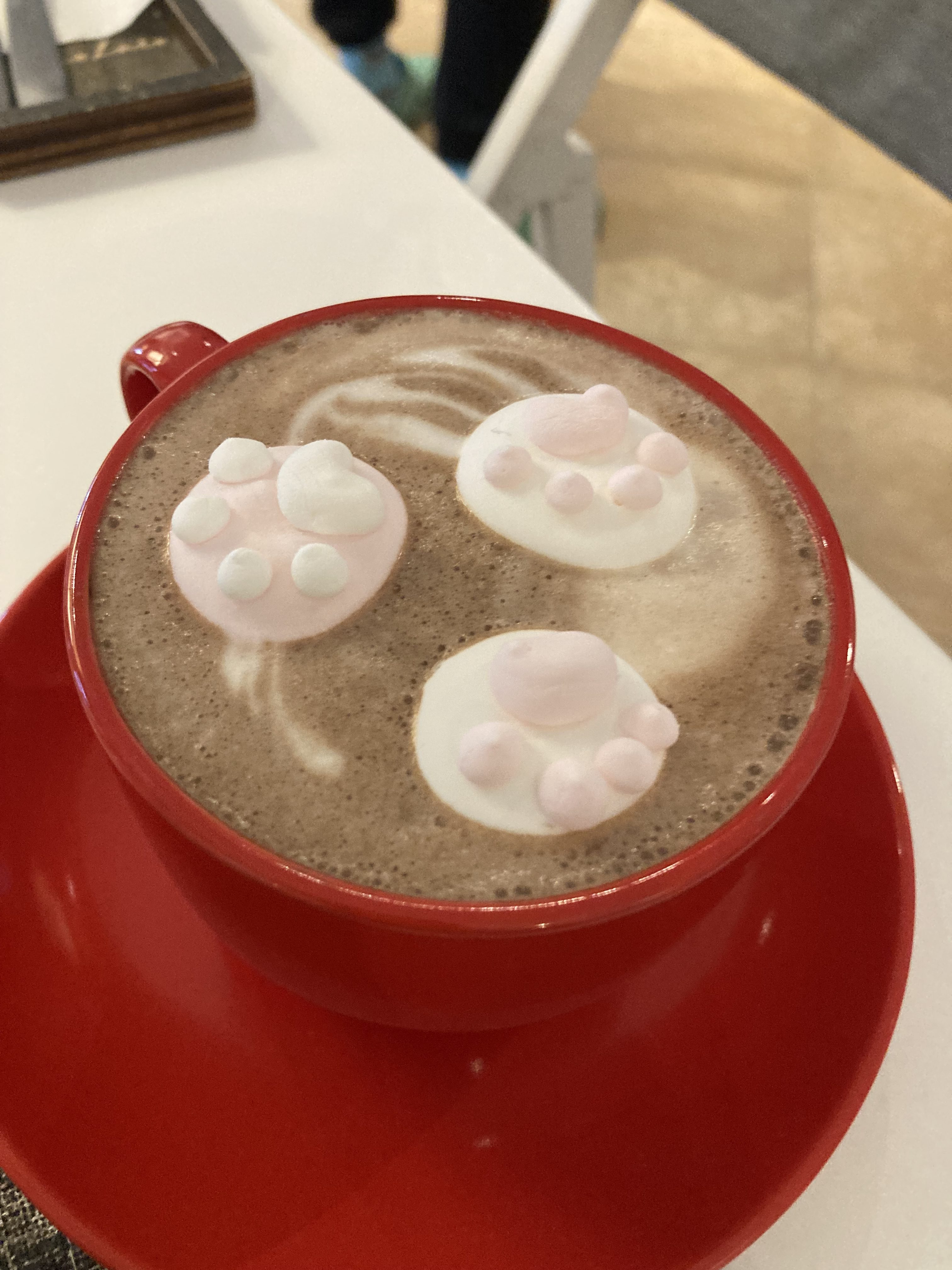 You Have to Try Strawberry Paw Hot Cocoa at this Coastal European Cafe- Te Amo Lviv (Lviv, Ukraine)